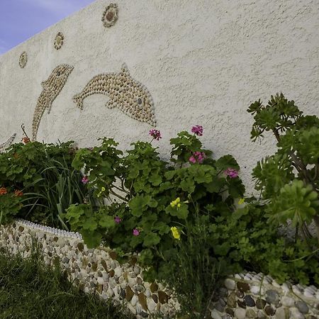 Saint Amon Hotel Faliraki Exterior photo